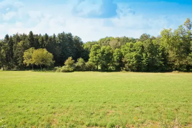 land